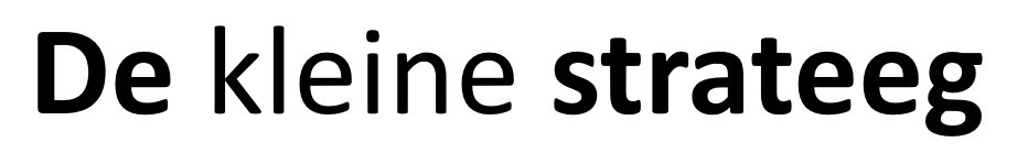De kleine strateeg